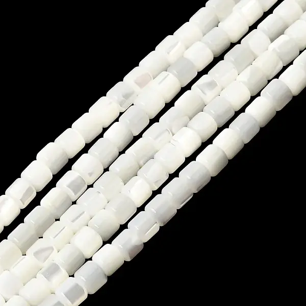 Natural Trochid Shell/Trochus Shell Beads Strands