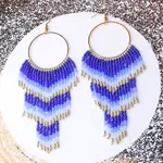Alloy Glass Seed Beads Ring Tassel Dangle Earrings
