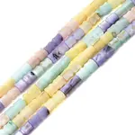 Natural Freshwater Shell Beads Strands