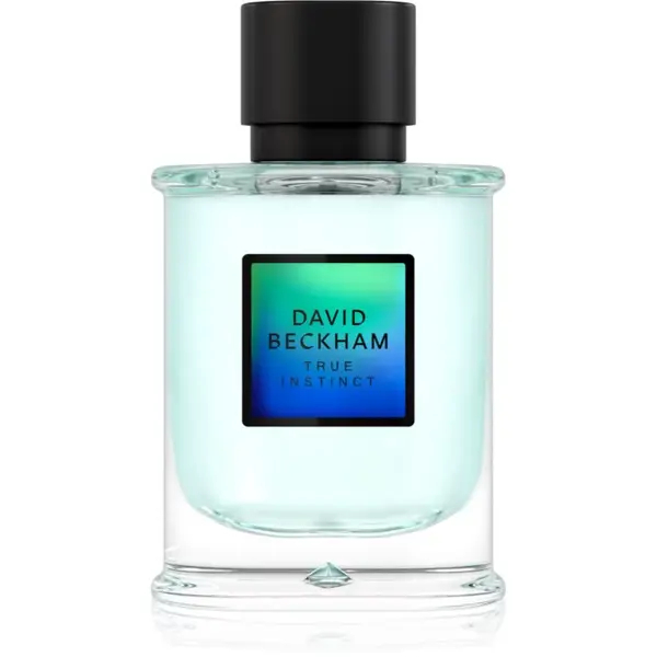 David Beckham True Instinct parfumovaná voda pre mužov 75 ml