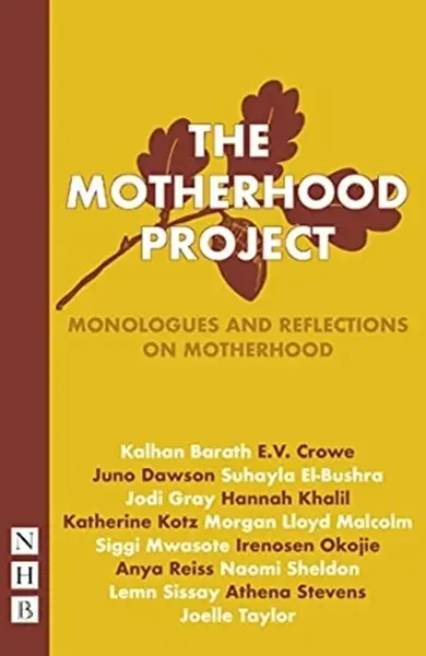 The Motherhood Project - kolektiv autorů