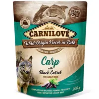Carnilove Dog Pouch Paté Carp with Black Carrot 300 g