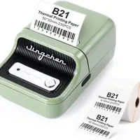 Niimbot B21 Smart 1AC19031602 tiskárna štítků, zelená + role štítků