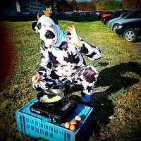 Peshata – Singles 2019 - 2021