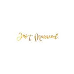 Svadobný banner Just Married 91,5 cm ALBI