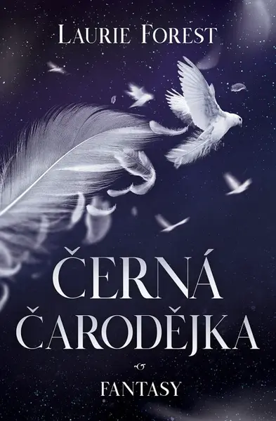 Černá čarodějka (poškozená) - Laurie Forest