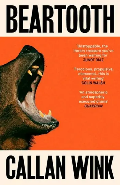 Beartooth - Callan Wink