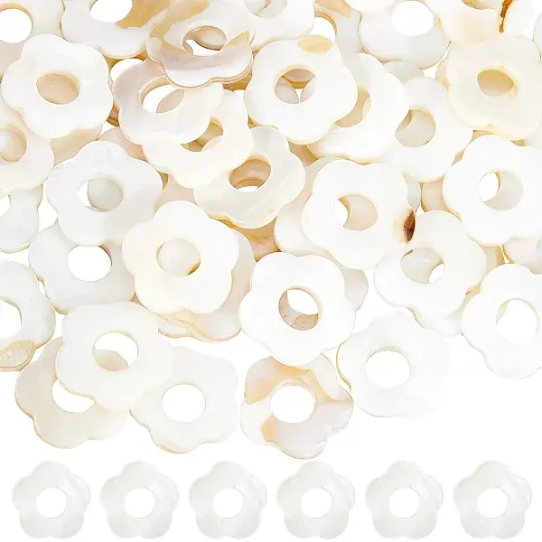 60Pcs Freshwater Shell Beads Frames Strands