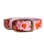 Reedog obojok ružový srdce BioThane - XXXXS