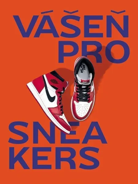 Vášeň pro sneakers (poškozené) - Alexandre Pauwels