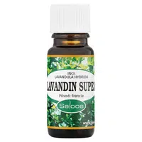 SALOOS Éterický olej Lavandin super 10 ml