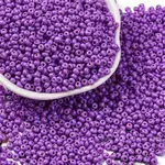 8/0 Baking Paint Glass Seed Beads