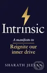 Intrinsic (A manifesto to reignite our inner drive) - kniha z kategorie Motivace a seberozvoj