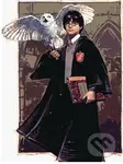 Malování podle čísel: Harry Potter - Harry a Hedvika v Bradavicích