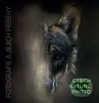 Czech Nature Photo - fotografie a jejich příběhy - kniha z kategorie Fotografie