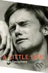 A Little Life - Hanya Yanagihara - kniha z kategorie Společenská beletrie