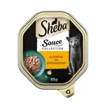 Sheba Sauce Collection vlhké krmivo pre mačky - morčacie 85 g