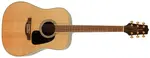 Takamine GD51-NAT