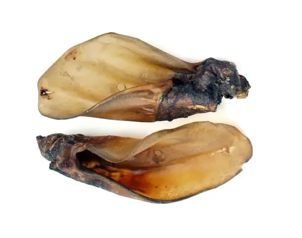 Farkaskonyha sušené hovězí uši 2 ks