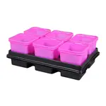 Kvetináč výsadbový + podmiska, ružový, 8 x 8 x 8 cm