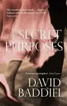 The Secret Purposes - David Baddiel
