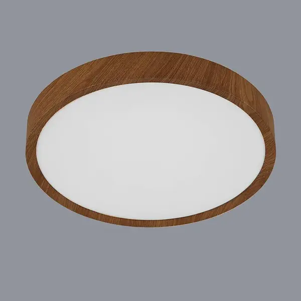 Stropné svietidlo prisadené Masurita  98601 LED LW1