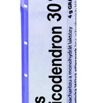 Boiron RHUS TOXICODENDRON CH30 granule 4 g