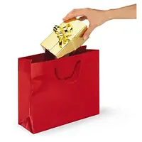 25 x Dárková taška z lesklého papíru červená 400x320x120 mm