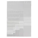 1000 x Sada 1000 kusů 50 mikronových sáčků na zip s popisovatelnými pruhy, 5 formátů  | RAJA