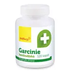 Wolfberry Garcinie kambodžská 120 kapslí