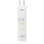 ASP MODE Re-Energise Shampoo energizující šampon pro odbarvené, barvené a chemicky ošetřené vlasy 250 ml