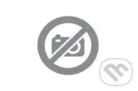 Modrý Airbus A330 - Štěpán Kolomazník