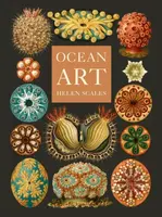 Ocean Art - Helen Scales