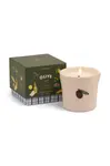 Vonná sójová svíčka Paddywax Fig & Olive 226 g více barev