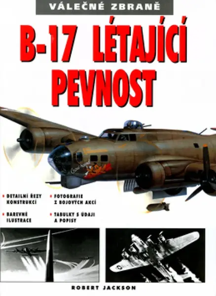 B-17 Létající pevnost (poškozená) - Robert Jackson