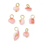 Dyed Natural Freshwater Shell Nuggets Charms