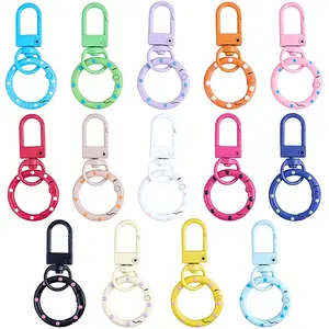 14Pcs 14 Colors Spray Painted Zinc Alloy Keychain Clasps