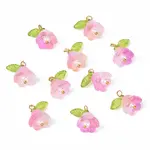 10Pcs Acrylic & Glass Flower Pendants