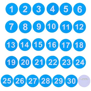 1 Set Round ABS Plastic Number 1-30 Brooches Sets