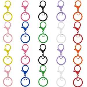 30Pcs 10 Colors Zinc Alloy Keychain Clasp Findings