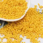 Baking Paint Glass Seed Beads