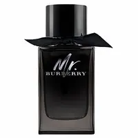 Burberry Mr. Burberry parfémovaná voda pro muže 150 ml