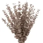 Umelá rastlina home & lifestyle