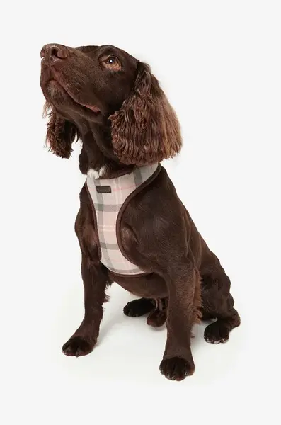 Postroj pre psa Barbour