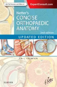 Netter's Concise Orthopaedic Anatomy, Updated Edition - Jon C.  Thompson