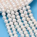 Natural Cultured Freshwater Pearl Beads Strands