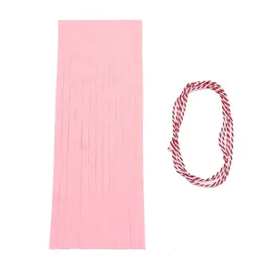 Paper Tassel Banner