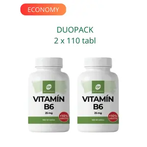 DR. FLEMING Vitamin B6 25mg +10% gratis 2x110ks DUOPACK