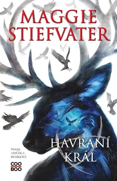 Havraní král - Maggie Stiefvaterová