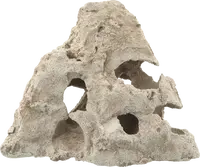 Dekorace Aqua Excellent v designu korálu S